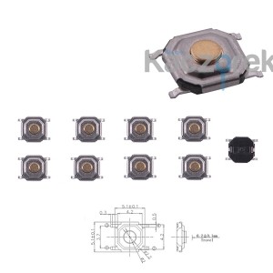 Microswitch 004