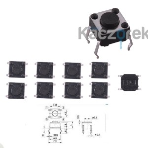 Microswitch 006