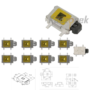 Microswitch 020